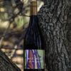 2021 "Kakapo" Wet Jacket Aurora Syrah - Image 3