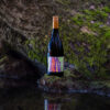 2021 "Kakapo" Wet Jacket Aurora Syrah