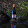 2021 "Kea" Wet Jacket Aurora Syrah