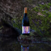 2021 "Tawaki" Wet Jacket Aurora Syrah