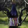 2021 "Tieke" Wet Jacket Aurora Syrah - Image 2