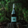2024 Putangi Pinot Noir