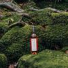 2023 Wet Jacket Rose - Image 2