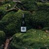 2019 Wet Jacket Pinot Noir