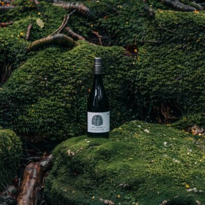 2019 Wet Jacket Pinot Noir