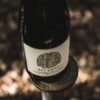 2023 Wet Jacket Pinot Noir - Image 2