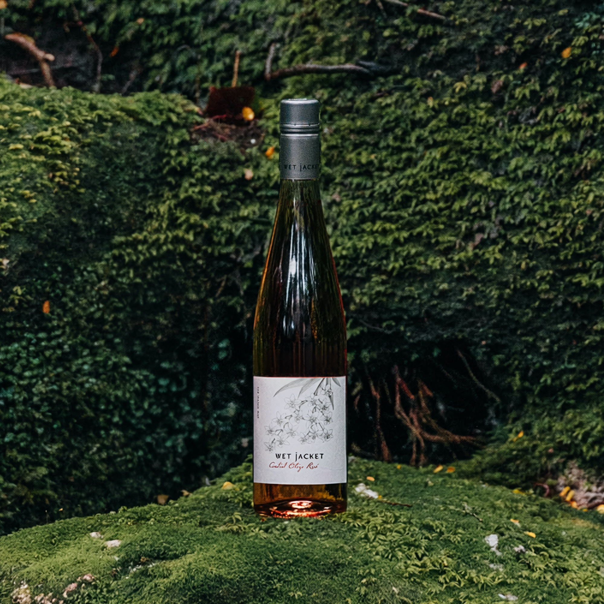 2026 Wet Jacket Rosé